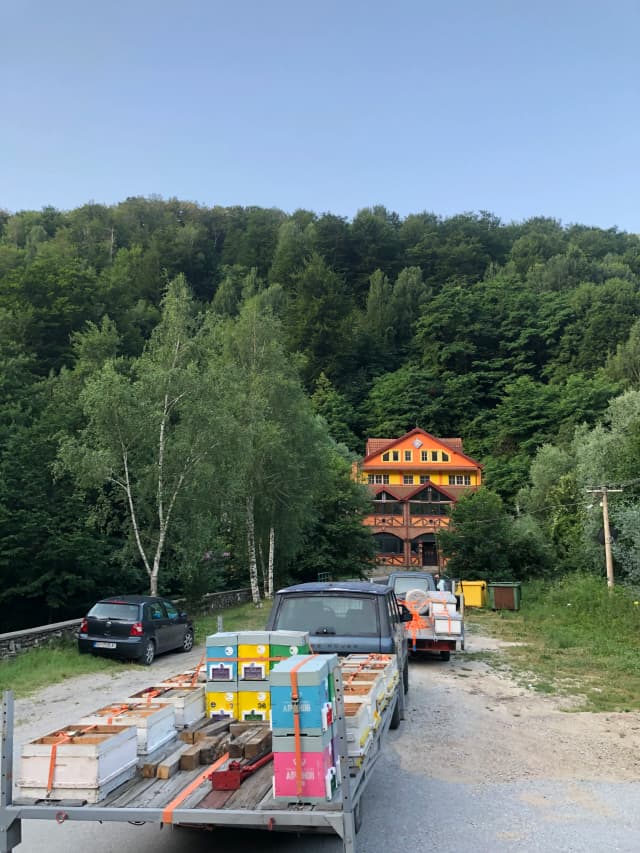 Gallery Image 18